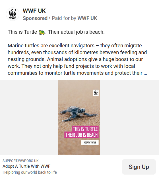 Turtle on a sandy beach with caption in white letters on Barbie pink background: this is turtle. their job is beach. Advert text above reads WWF UK This is turtle with turtle emoji. His actual job is beach.